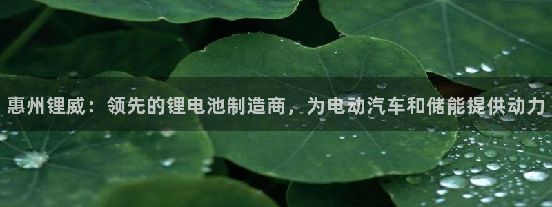 sunbet手机网页版本