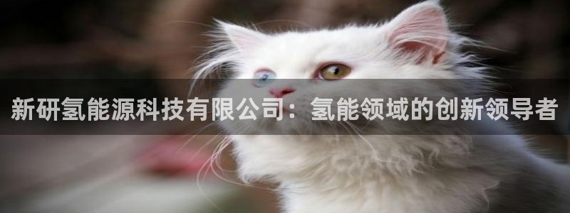 sunbet手机网页版