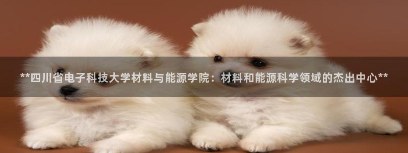 sunbet申搏app下载