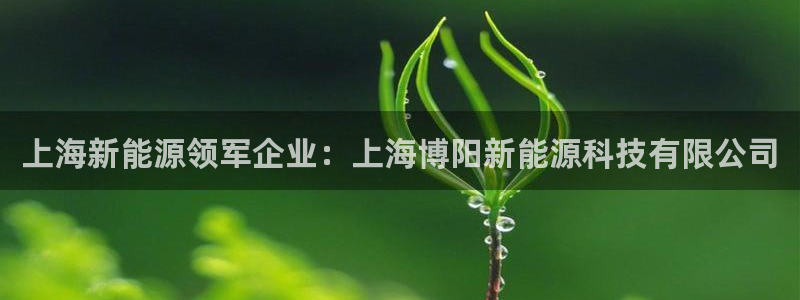 申慱sunbet手机版登