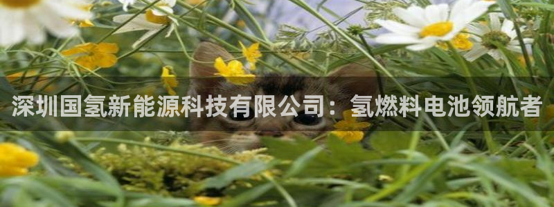 申慱sunbet手机版登