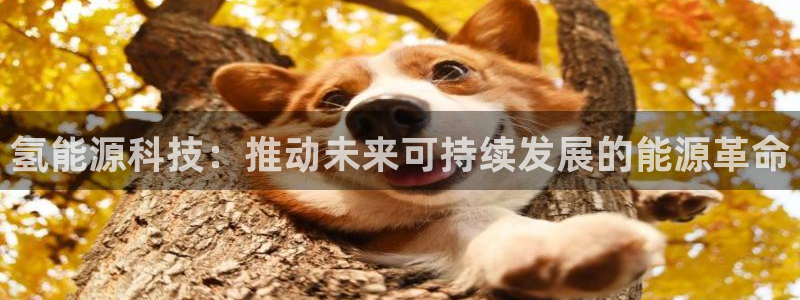 sunbet燃气灶