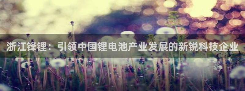 申博官网手机版下载app