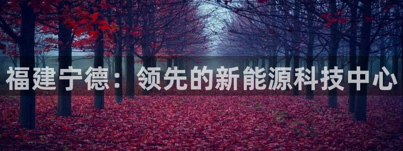 sunbething怎么读
