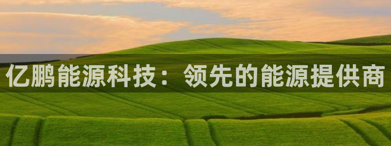 sunbet官网手机版