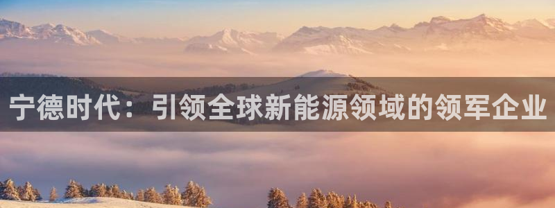 申博官网电脑版下载