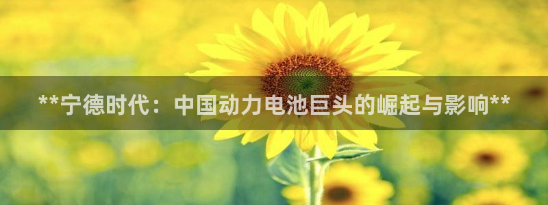 sunbet燃气灶