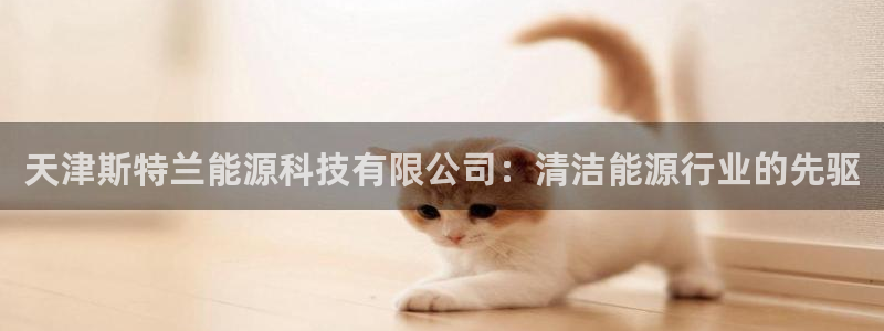 sunbet中文