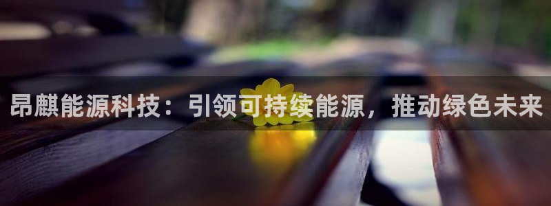 sunbet手机网页版