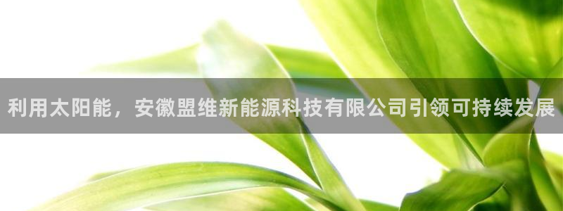 申博手机版app下载