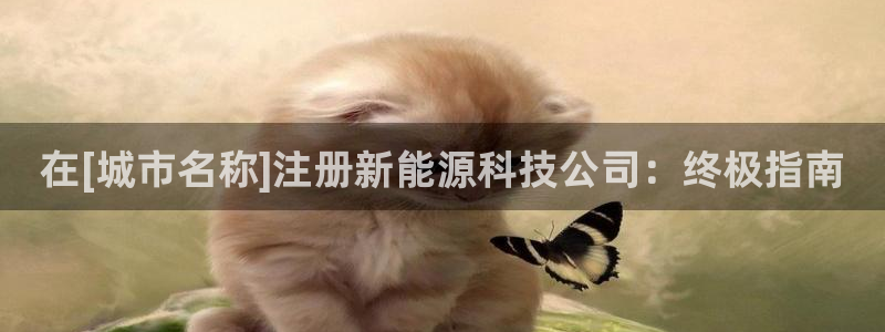 sunbet苹果官网下载