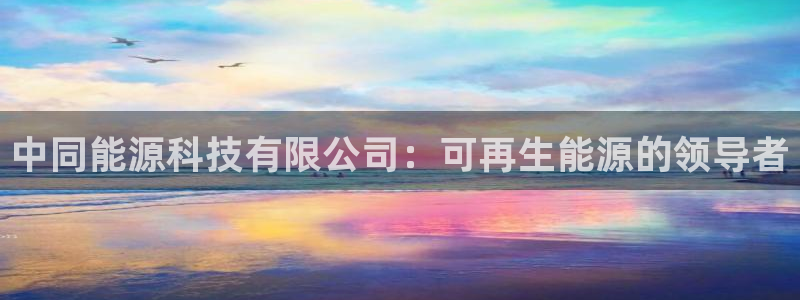 sunbet程序
