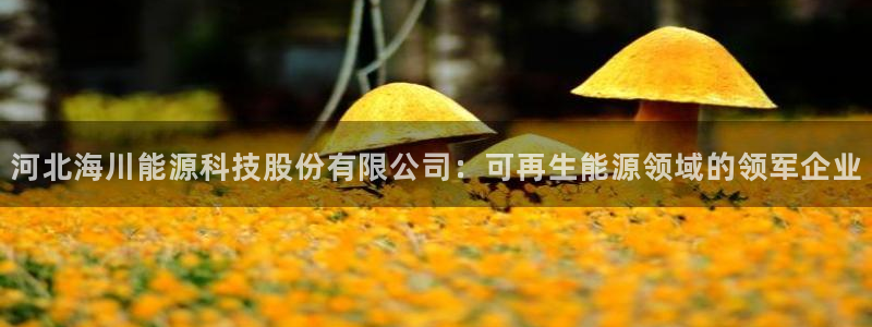 sunbet最新登陆