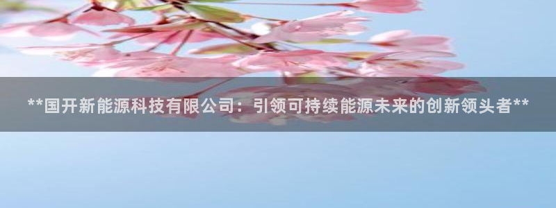 申博手机版官网