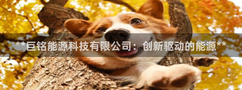 sunbet申搏官方网站