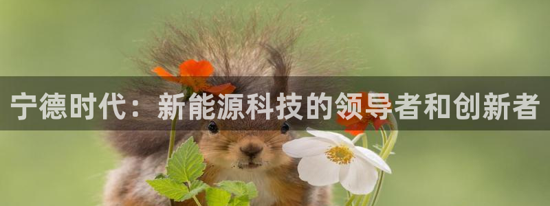 进入sunbet官网手机版登陆