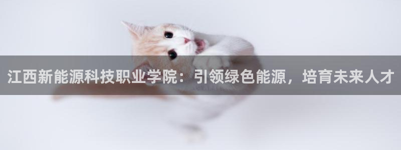 sunbet最新登陆