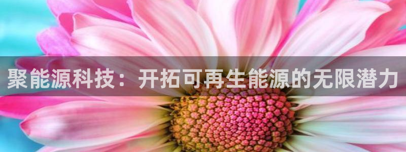 sunbet最新消息