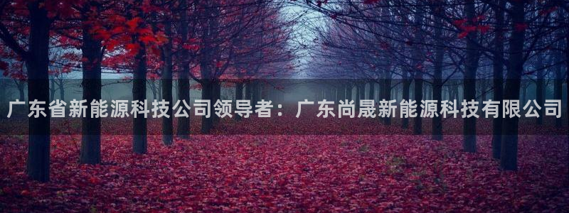 sunbet首页登录入口