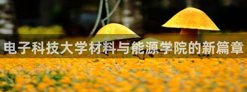 sunbet燃气灶