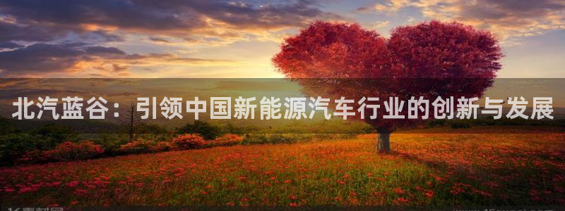 sunbet英语翻译