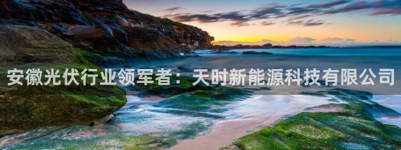sunbet官网手机版