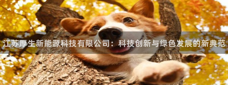 sunbet安卓下载