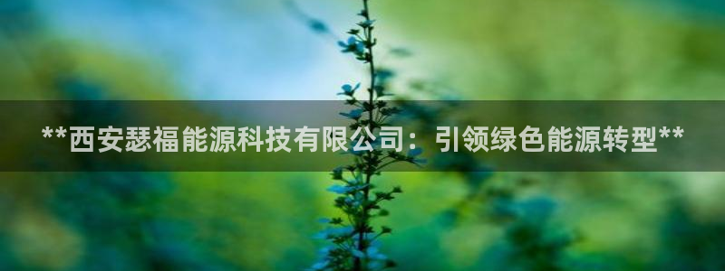 sunbet线上真人手机版