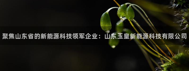 申博手机网址