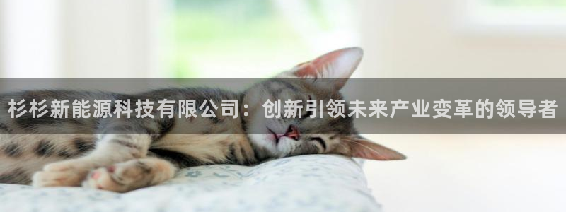 sunbet申搏地址