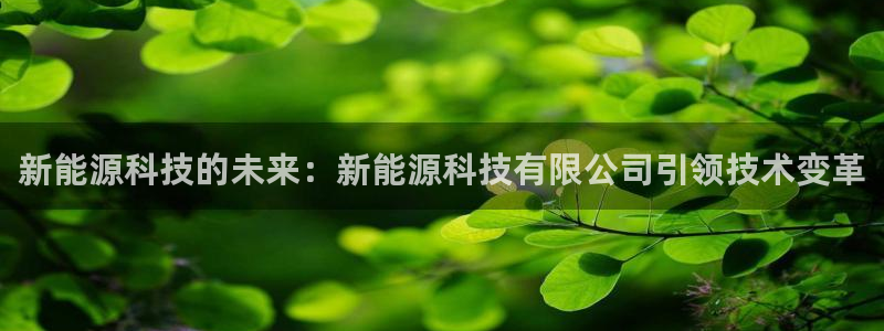 sunbet英语翻译