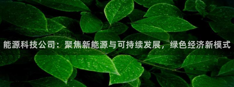 申博官网手机版下载app
