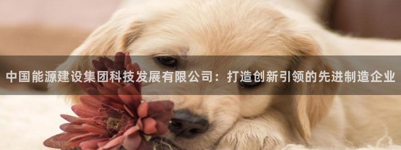 sunbet中国官网