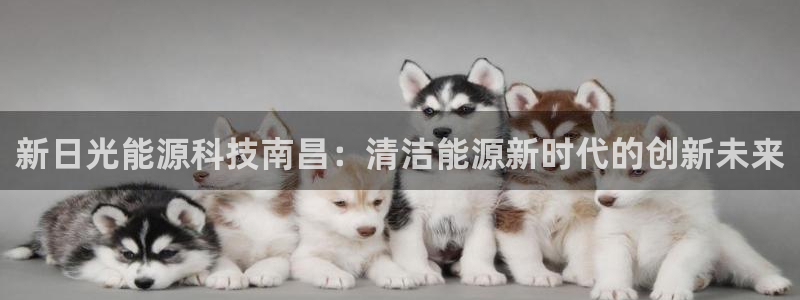 sunbet中国官网