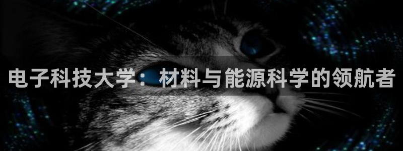 申博官网电脑版下载
