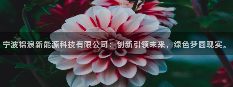 sunbet最新消息