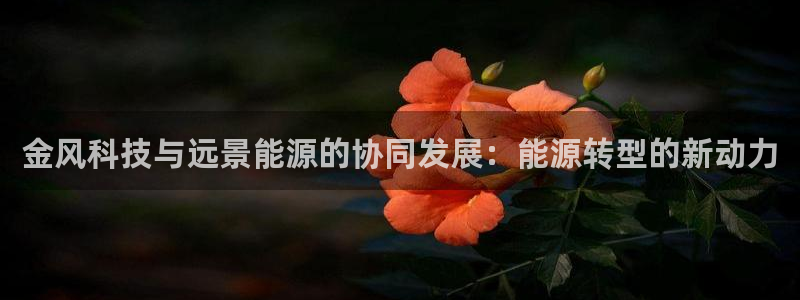 sunbet手机版登录