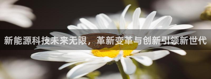 sunbet官网手机版