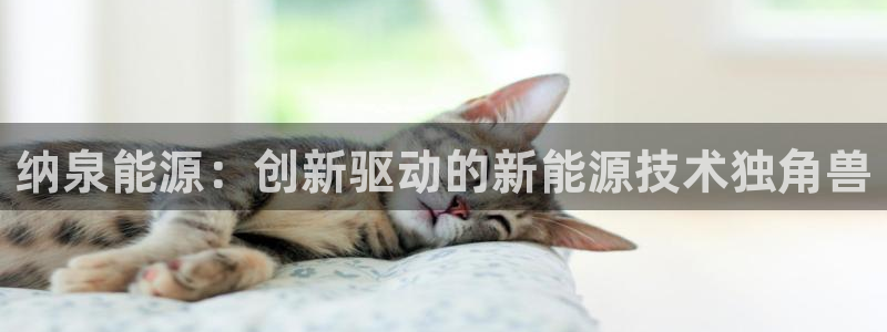 申博视讯