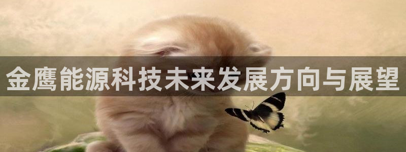 sunbet苹果官网下载