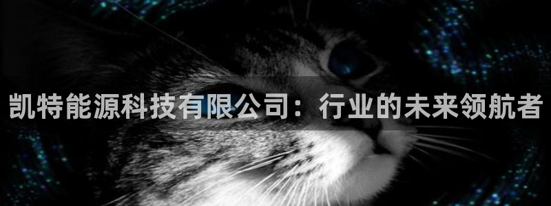 sunbet申搏平台