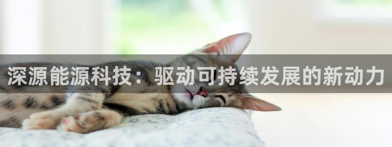 sunbet手机网页版