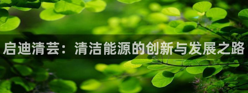 sunbet程序