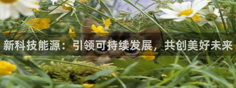 申博官方网站手机版下载