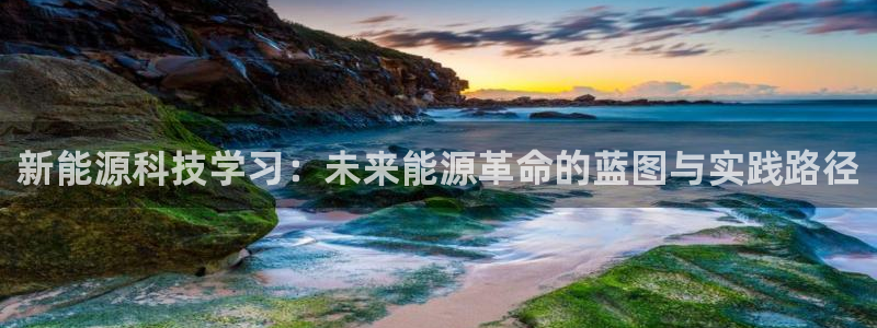 sunbet源码