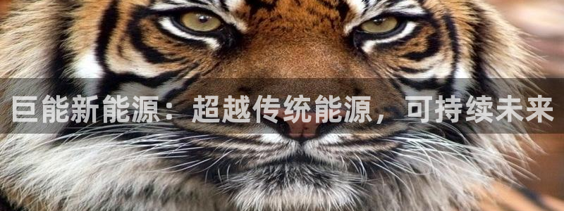 sunbet官网手机版