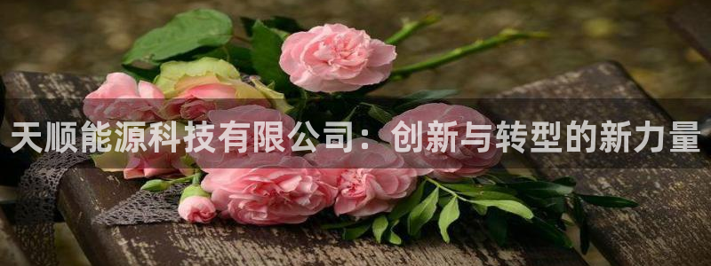 sunbet手机网页版本