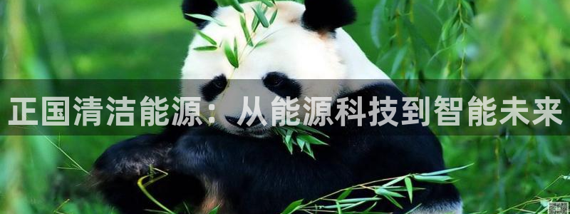 sunbet首页登录入口