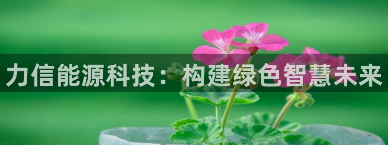 申慱sunbet手机版登