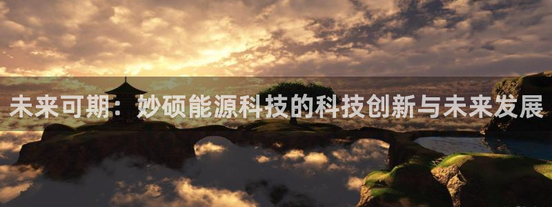sunbet英语翻译